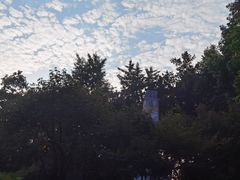 -鹅岭公园瞰胜楼