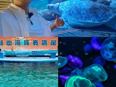 -秦皇岛新澳海底世界