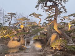 -罗红摄影艺术馆