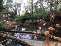 -清迈夜间动物园