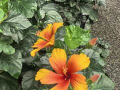 -宝大祥青少年儿童购物中心(南京东路店)