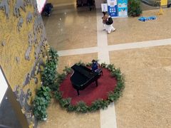 -浙江大学医学院附属邵逸夫医院(钱塘院区)