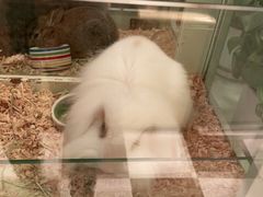 -龙猫仔乐园(惠福东路店)