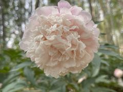 -仁和公园(顺义区)