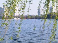 -莫愁湖公园