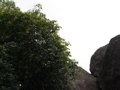 -火炉山森林公园
