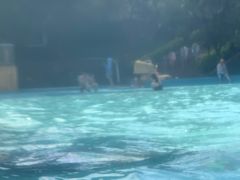 -清泉湾生态旅游度假区