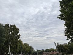 -裕华世纪公园