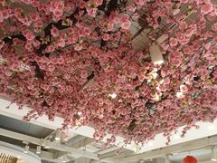 -小桃红·东北菜·春饼烤鸭(南阳湖街店)