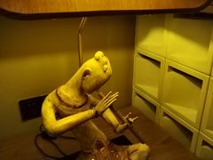 -菩泰·泰式草本按摩SPA(国大城市广场店)
