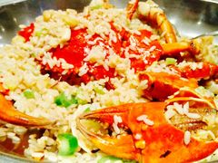 -新兴·金羊座·粤菜点心(乐峰店)