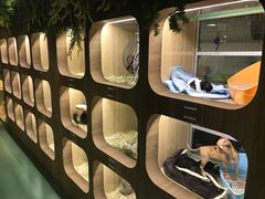 -藦茜花园宠物主题亲子互动体验馆(国顺东路店)