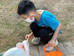-灵玲国际马戏城