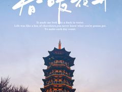 -洋湖国家湿地公园