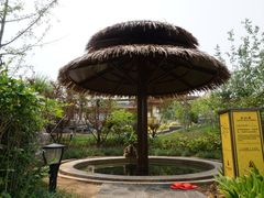 -大连金石滩绿发温泉假日酒店