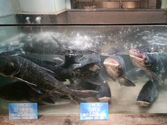 -上名堂·鱼头好吃(体育场路店)