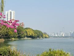 -南宁南湖公园
