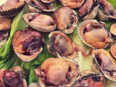 毛蚶-盐通酒家(金桥湾清水苑店)