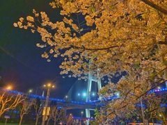 -上海南浦大桥长途旅游客运站