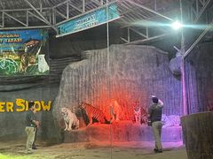 -清迈夜间动物园