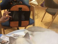 -Pets First伊珊娜洗护·精致美容·家庭式寄养(新会路店)