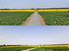 -汉长安城未央宫国家考古遗址公园