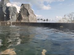 -青岛海泉湾度假区温泉