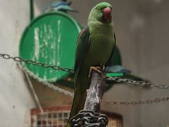 -合肥野生动物园