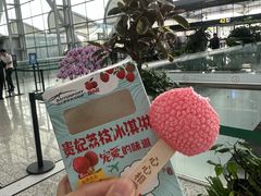 -广州白云国际机场