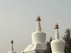 -凉州白塔寺景区