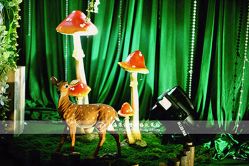 -上海浦东喜来登由由大酒店·宴会厅