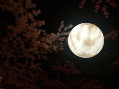 -蓝鲸湾汤泉(包河店)