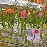 武汉｜坠入春天的浪漫🌷超美的西餐厅