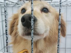 -萌兽医馆·眼科·异宠专科(三里屯店)