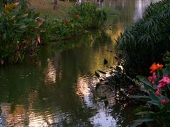 -人民公园(罗湖区)