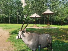 -大连森林动物园