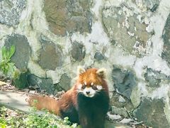 -扬州市茱萸湾风景区
