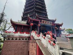 -青城山