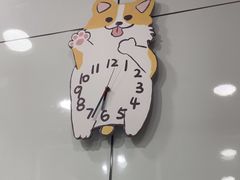 -pd派德宠物中心医院24H急重症·眼科中心·血液透析中心(嵩山北路店)