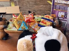 -宠爱国际动物医院·消化内科·心肾内科·ISFM猫友好(望京店)