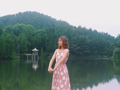 -四明山国家森林公园