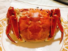 -小六农家乐(崇明西沙湿地店)