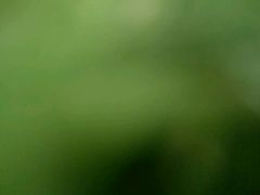 -杜伊斯堡市北景观公园