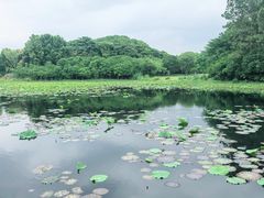 -长广溪湿地公园