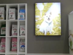 -关爱宠物医院·猫科中心·消化科(滨湖万达分院)