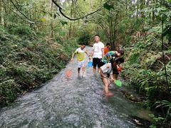 -桤木河湿地公园