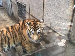 -西安秦岭野生动物园