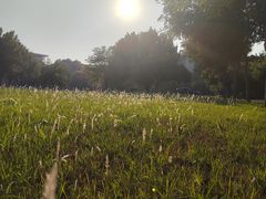 -华南师范大学(广州大学城校区)