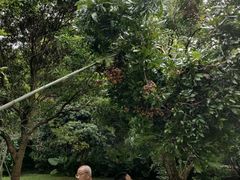 -福建鲤鱼洲酒店