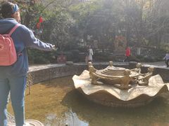 -杭州黄龙洞